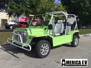 affordable golf cart rental, golf cart rent golden beach, cart rental golden beach