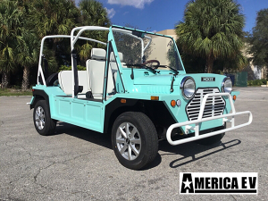 affordable golf cart rental, golf cart rent golden beach, cart rental golden beach