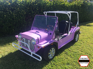 affordable golf cart rental, golf cart rent golden beach, cart rental golden beach