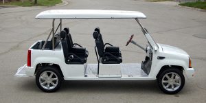 affordable golf cart rental, golf cart rent golden beach, cart rental golden beach