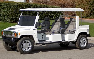 affordable golf cart rental, golf cart rent golden beach, cart rental golden beach